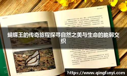 蝴蝶王的传奇旅程探寻自然之美与生命的脆弱交织